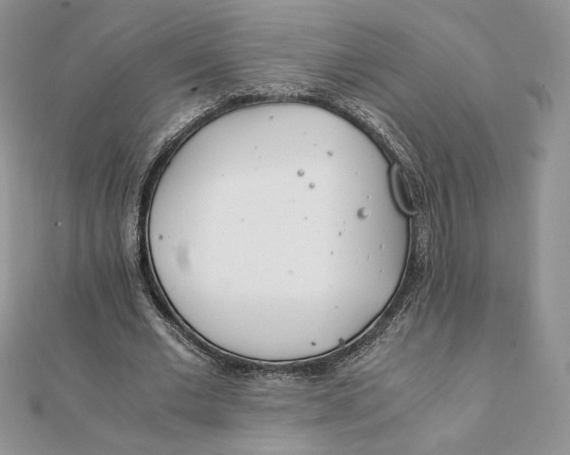 X0000111430677200908031332