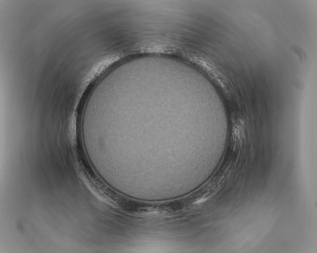 X0000111430678200908031332