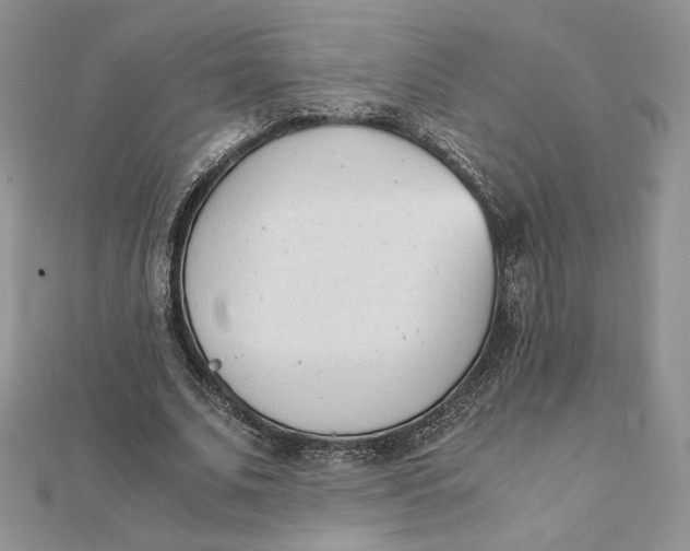 X0000111430679200908031332