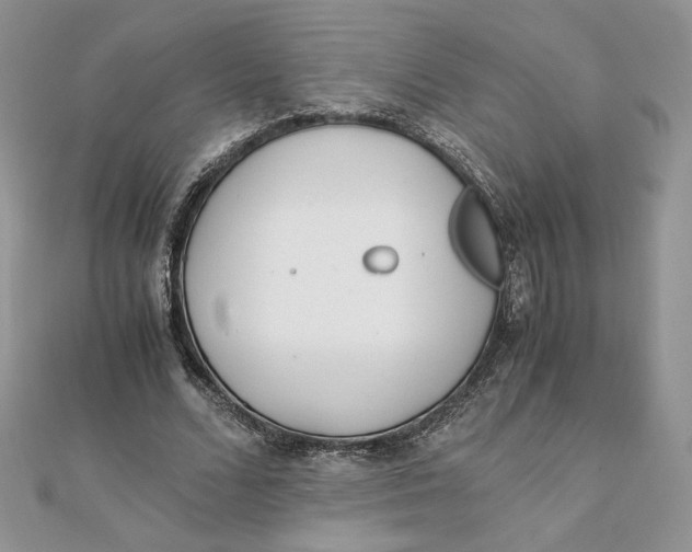 X0000111430680200908031332