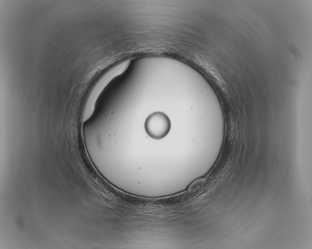 X0000111430681200908031332