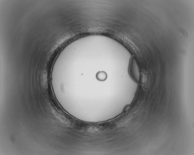 X0000111430684200908031332