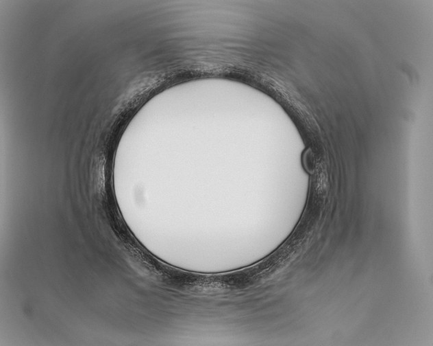 X0000111430685200908031332