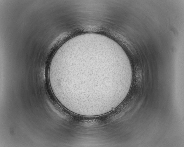 X0000111430686200908031332