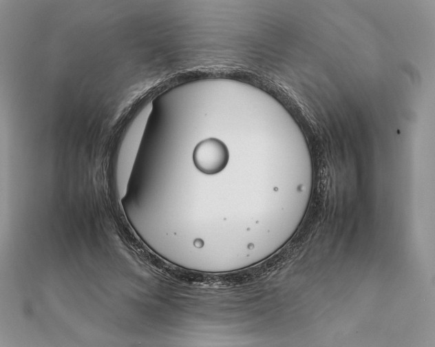 X0000111430688200908031332