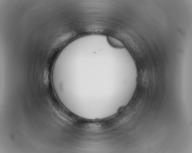 X0000111430692200908031332