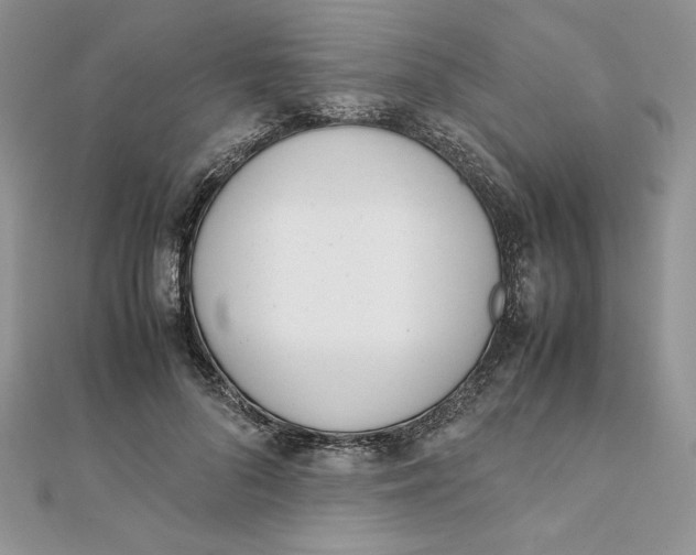 X0000111430696200908031331