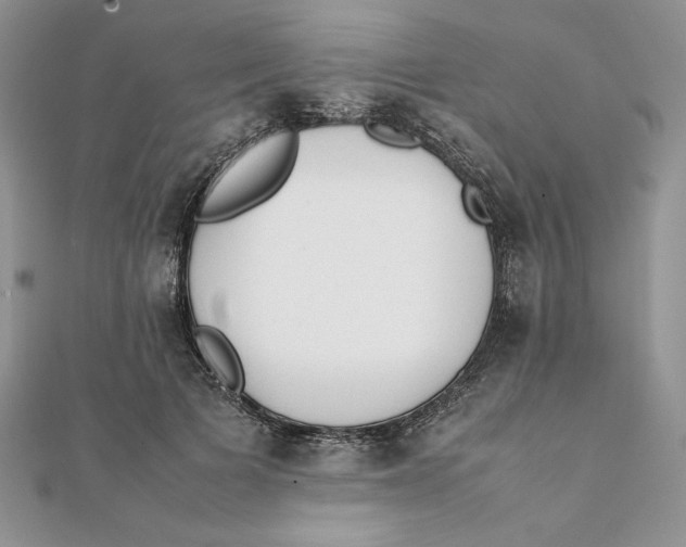 X0000111430697200908031331