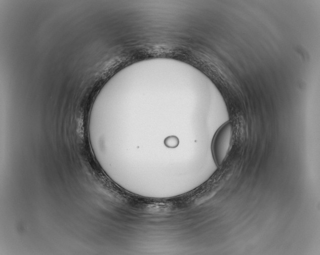 X0000111430700200908031331