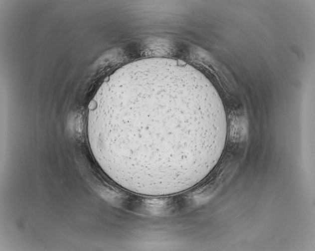 X0000111430701200908031331