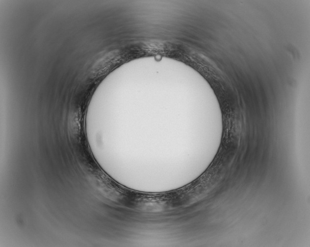 X0000111430702200908031331