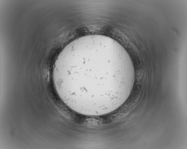 X0000111430703200908031331