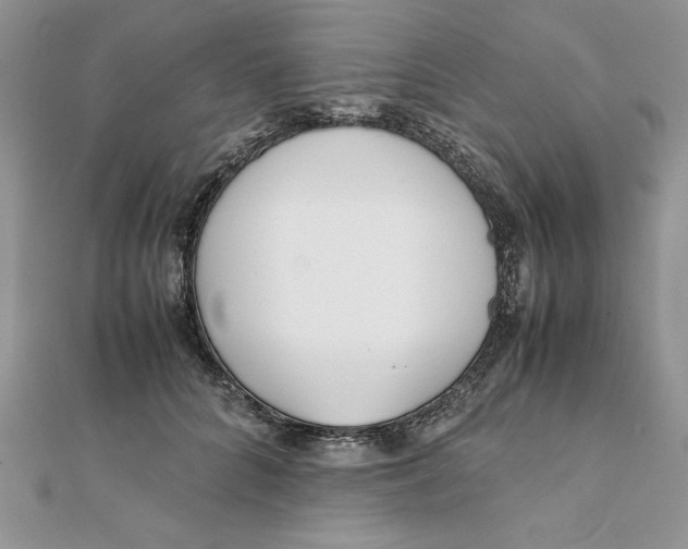 X0000111430704200908031331