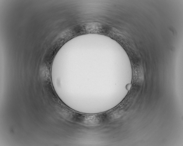 X0000111430705200908031331