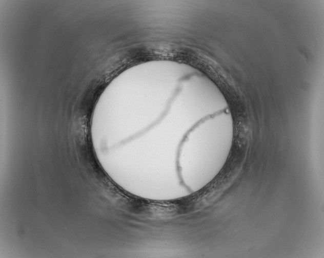 X0000111430707200908031331