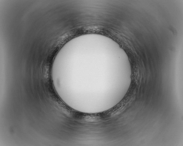 X0000111430708200908031331