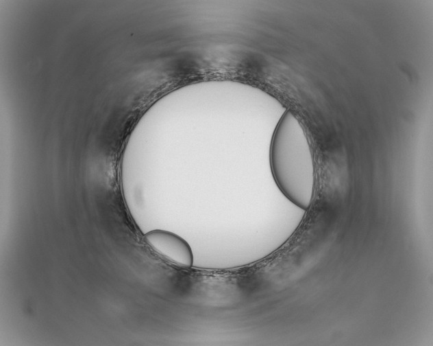 X0000111430709200908031331