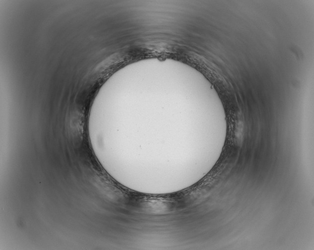 X0000111430710200908031331