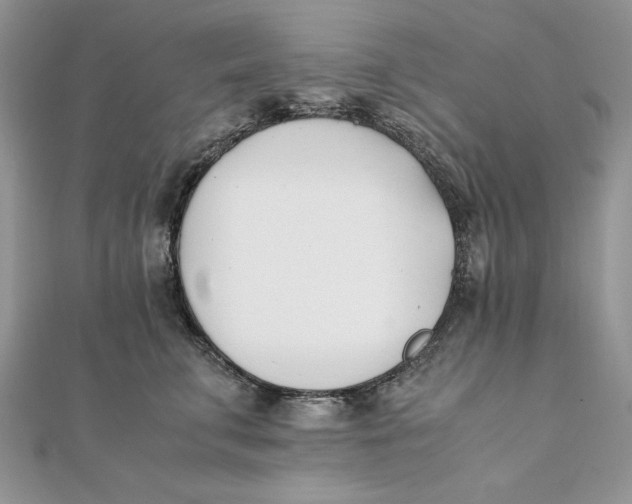 X0000111430711200908031331