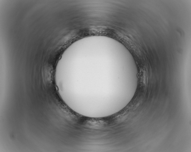 X0000111430712200908031331