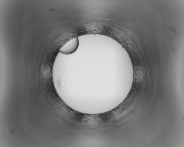 X0000111430713200908031331