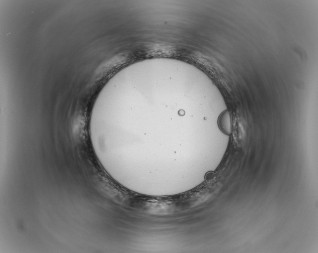 X0000111430714200908031331