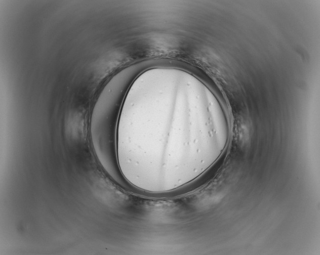 X0000111430716200908031331