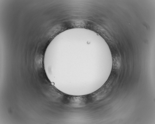 X0000111430717200908031331