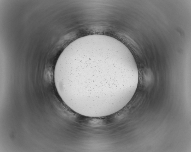 X0000111430718200908031331