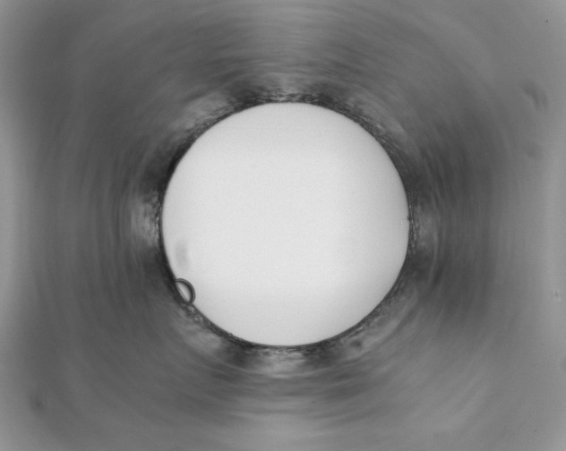 X0000111430719200908031331