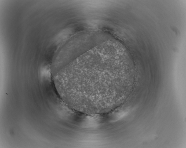 X0000111430720200908031331