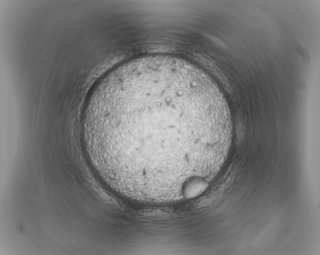 X0000111430721200908031330