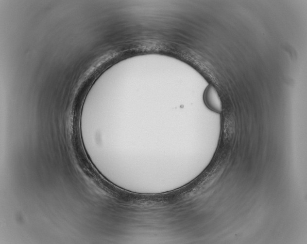 X0000111430722200908031330