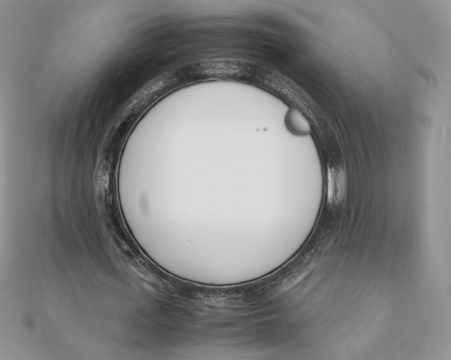 X0000111430723200908031330