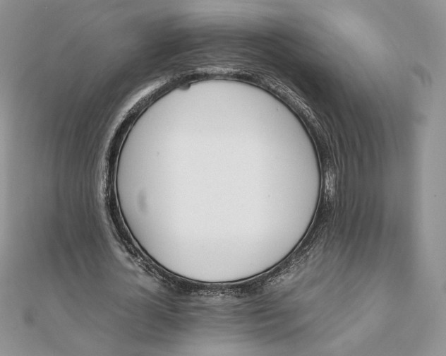 X0000111430724200908031330