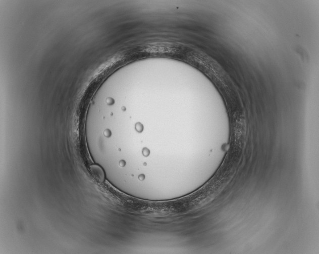 X0000111430727200908031330