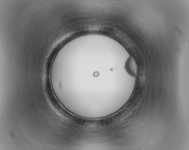 X0000111430728200908031330