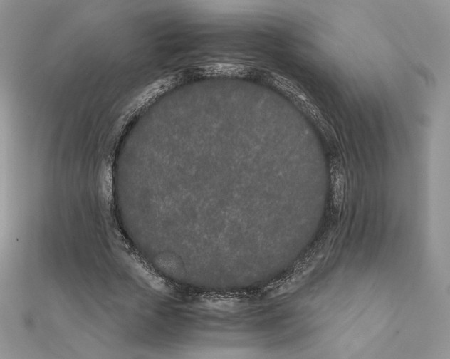 X0000111430729200908031330