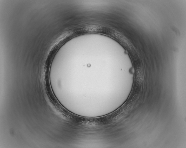 X0000111430730200908031331