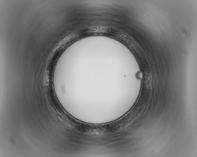 X0000111430731200908031331