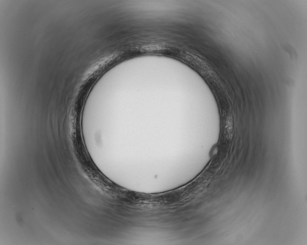 X0000111430732200908031331