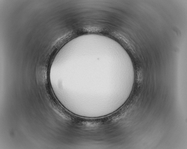 X0000111430733200908031331