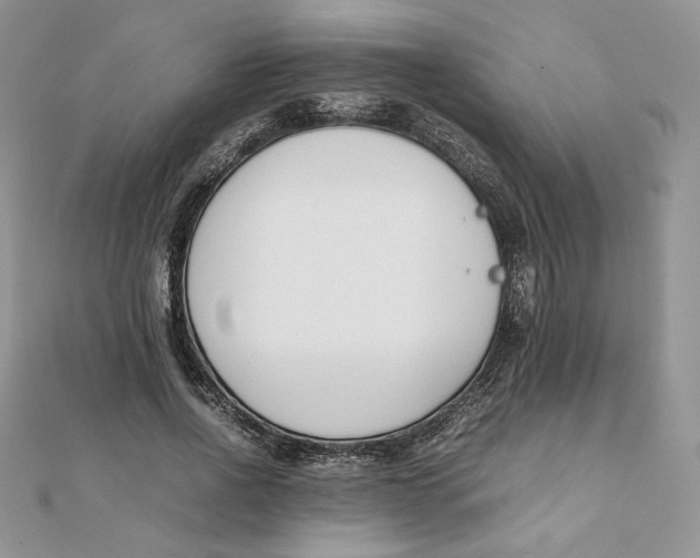 X0000111430734200908031331