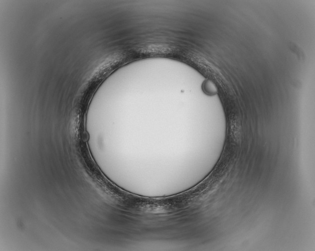 X0000111430735200908031331