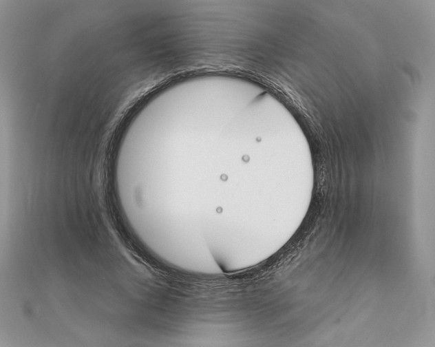 X0000111430736200908031331