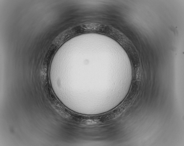 X0000111430737200908031331