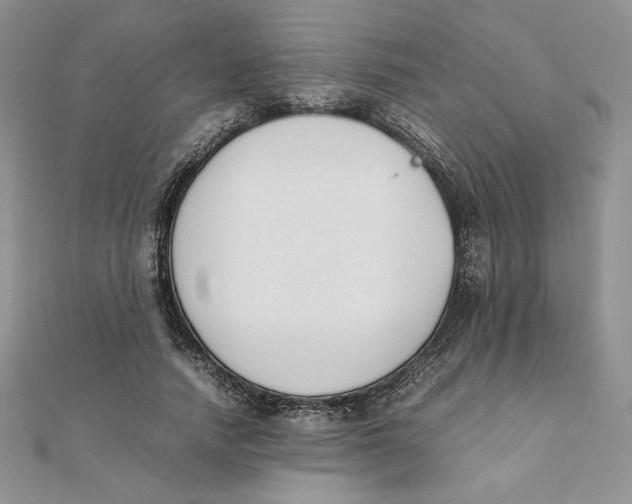 X0000111430738200908031331