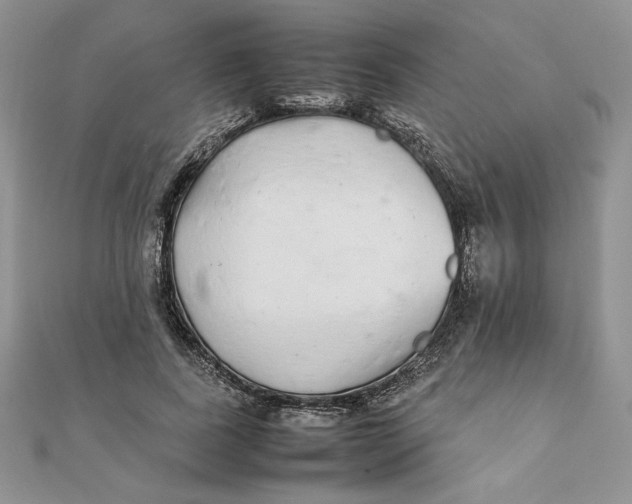 X0000111430739200908031331