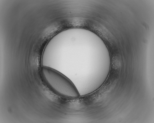 X0000111430740200908031331