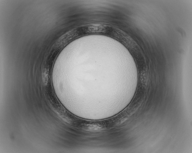 X0000111430741200908031331